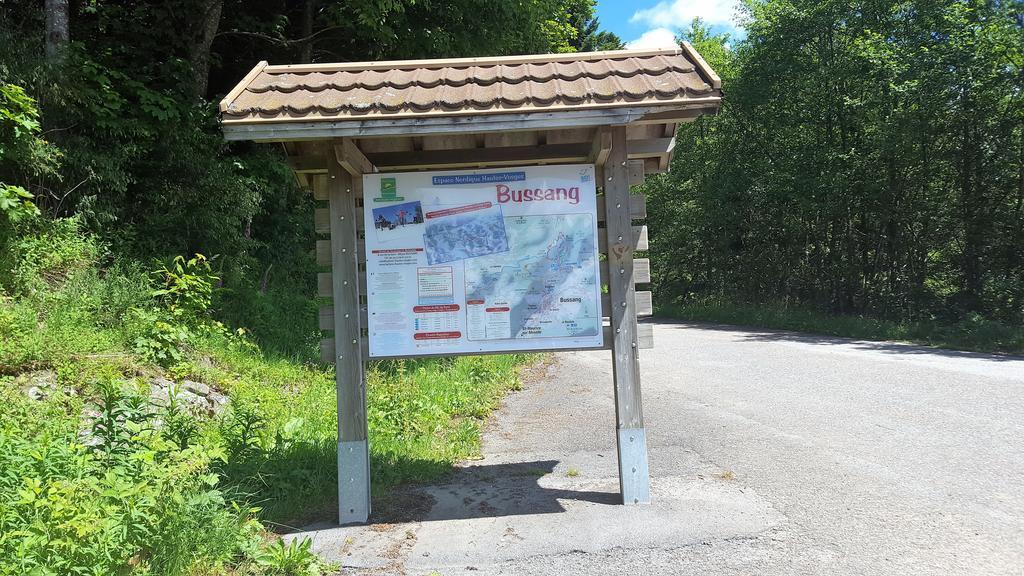 Gite De Papy Toualy Bussang Eksteriør billede